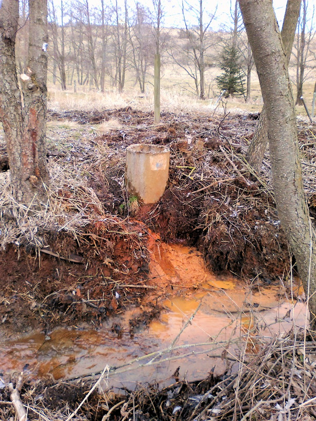 studánka Holubínská kyselka (13760) - březen 2021