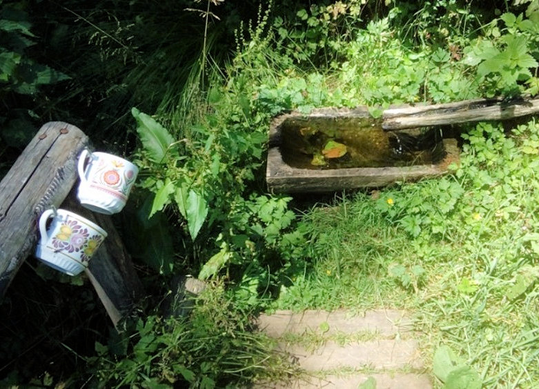 pramen Studánka Sv. Václava (13769) - duben 2021