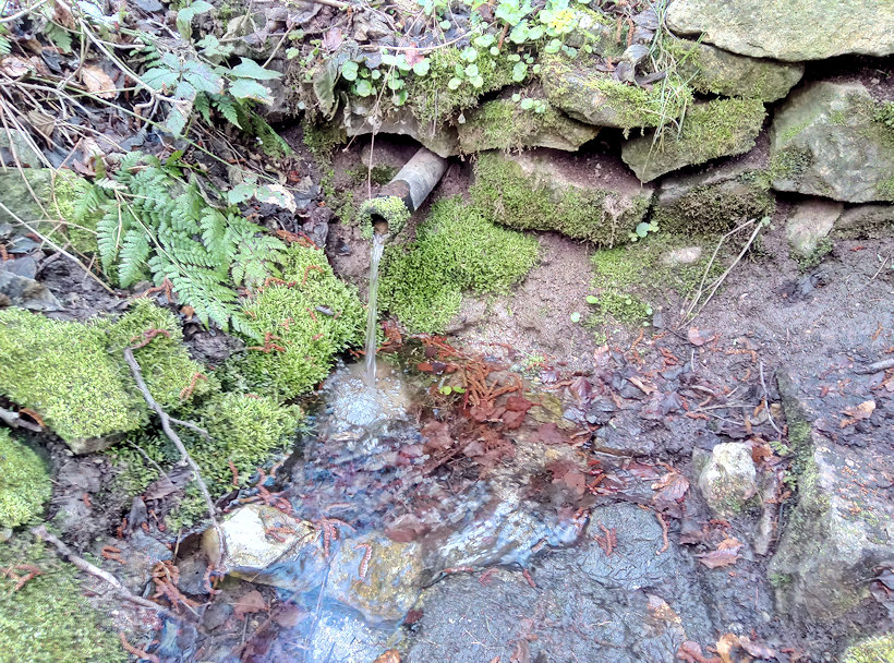 studánka U Havlů (13771) - duben 2021
