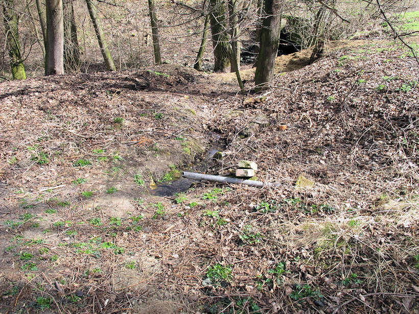 studánka bez jména (13775) - duben 2021