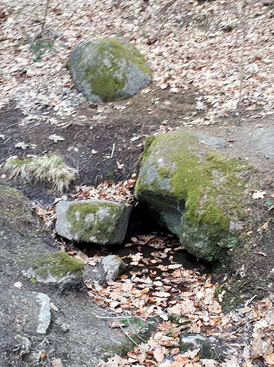studánka Pod Olympem (13777) - duben 2021