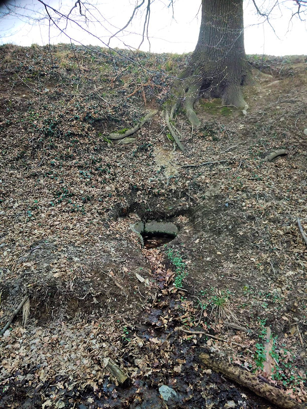 studánka Leskovec (13783) - duben 2021