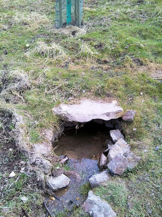 studánka Horní Zlodějka (13786) - březen 2021
