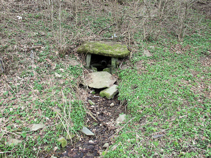 studánka bez jména (13790) - duben 2021