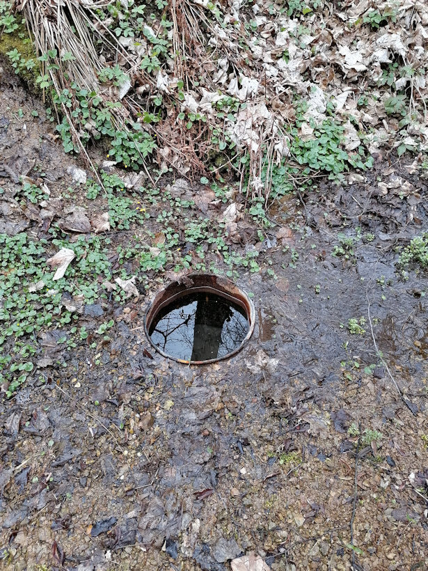 studánka V kastrůlku (13818) - duben 2021