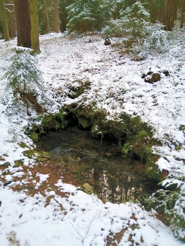 Zimní studánka (13822) - duben 2021