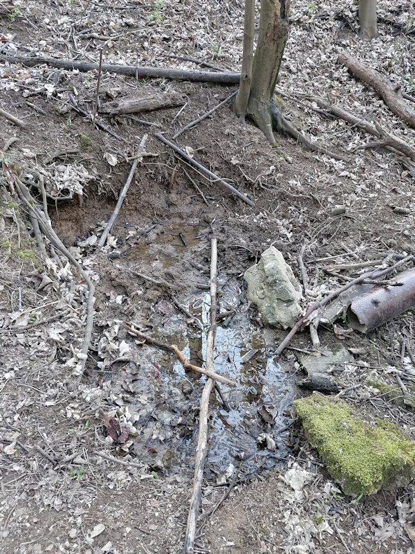 Komunitní studánka (13842) - duben 2021