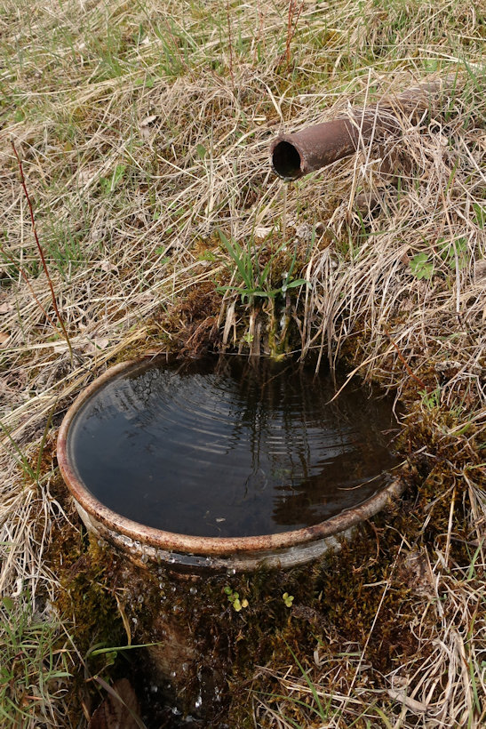 studánka bez jména (13856) - duben 2021