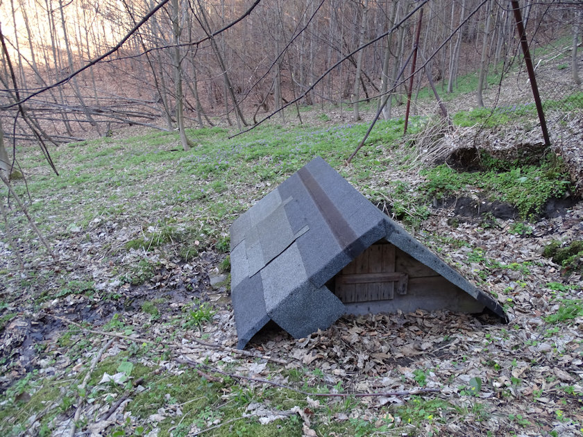 studánka Pod Velkým Stožkem (13869) - květen 2021