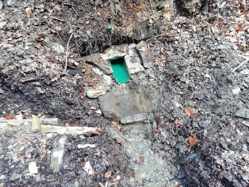 studánka U Potůčku 2 (13874) - květen 2021