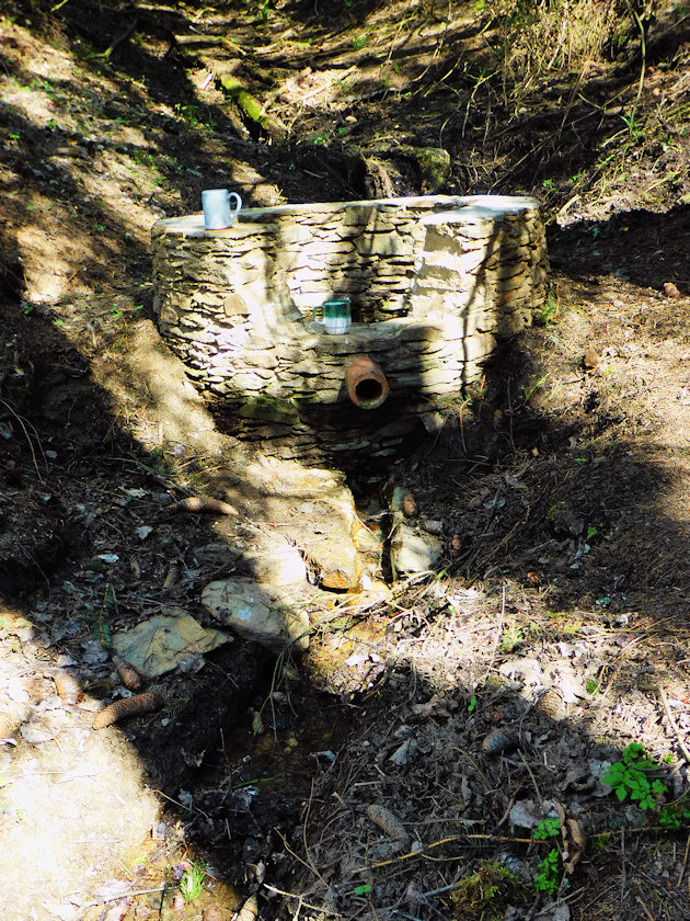 studánka bez jména (13882) - duben 2020