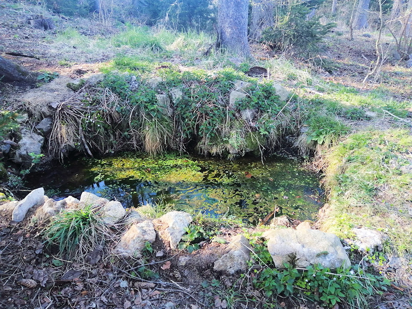Svěcená studánka (13886) - duben 2021