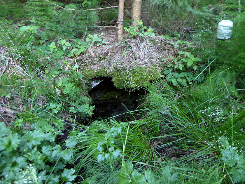 studánka U mrtvoly (13921) - červen 2021