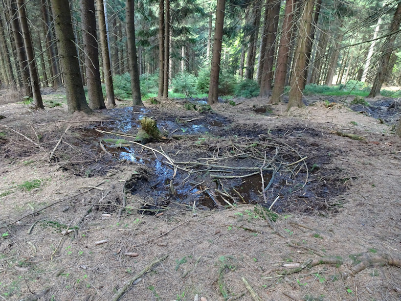 studánka Černovický potok 2 (13924) - červen 2021