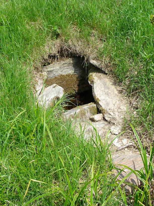 ´Ďopanova studánka (13929) - červen 2021