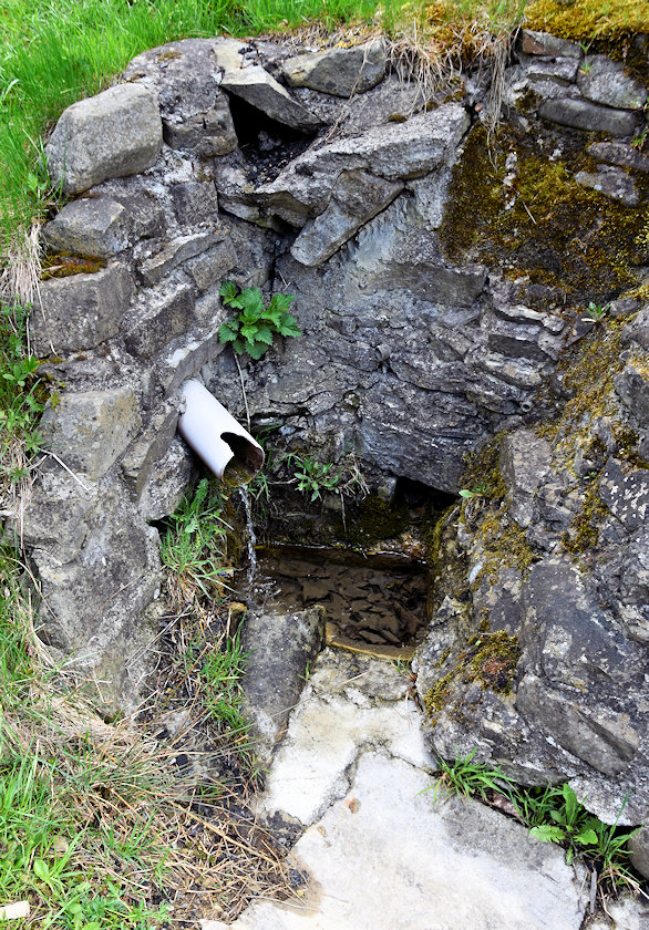 studánka V Bratřejůvce (13931) - květen 2021