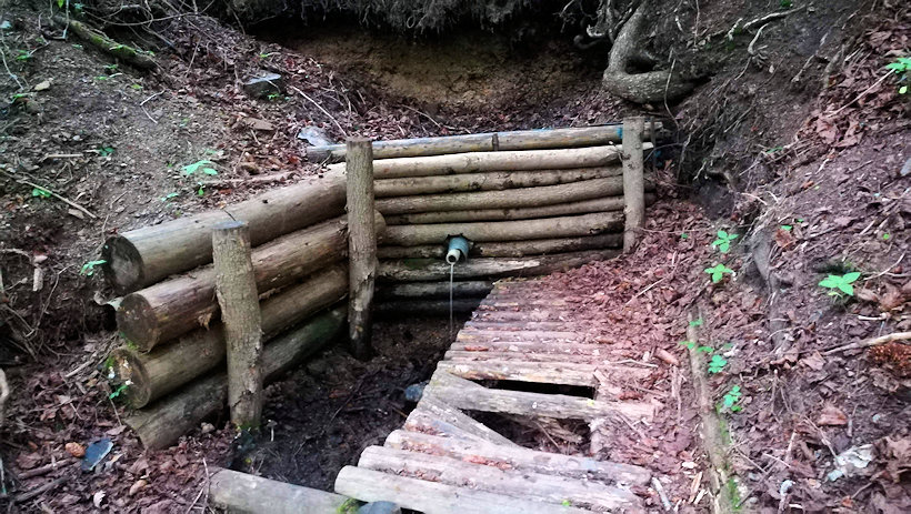 studánka Kornatický rybník (13934) - červen 2021