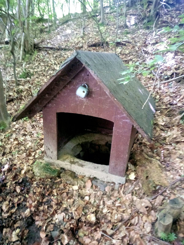 studánka bez jména (13950) - červen 2021