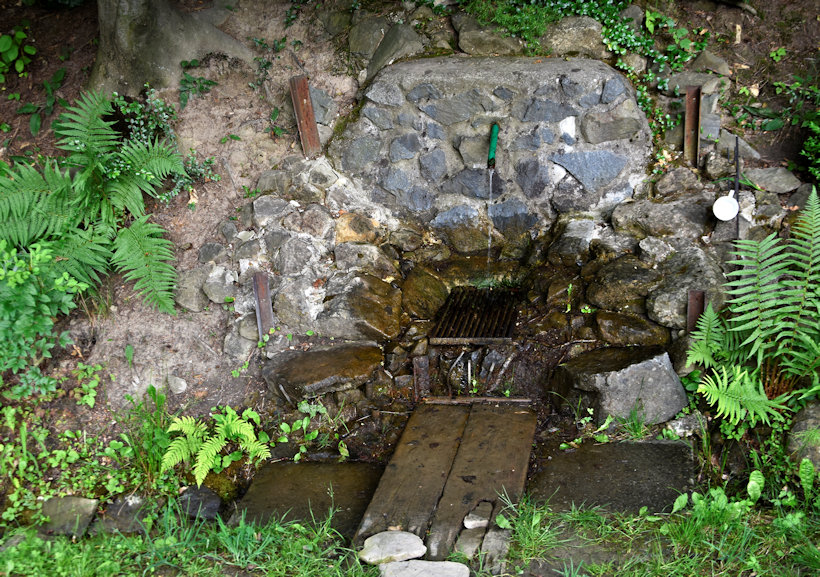studánka Záhorní (13964) - červenec 2021