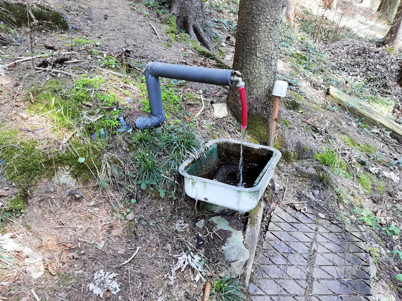 studánka Pod pazdernou (13965) - duben 2021
