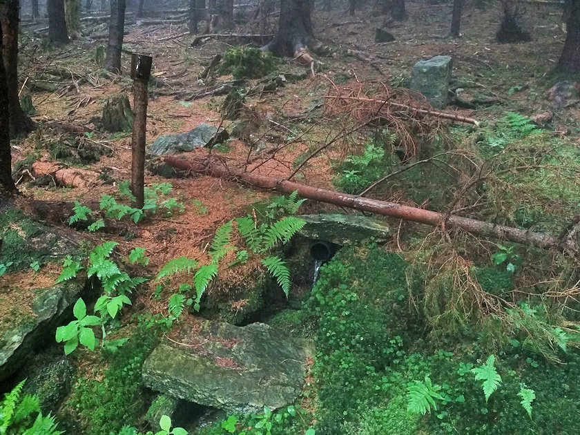 studánka U Školek (13971) - červen 2021