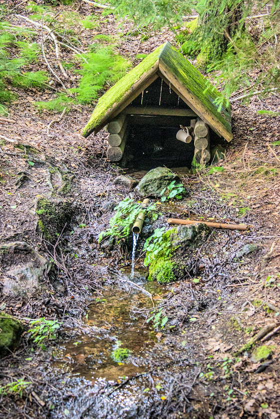 studánka Pod Čejovským kopcem (13984) - červenec 2021