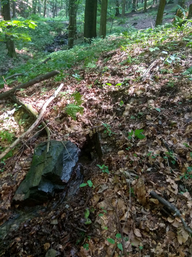 jiný vodní zdroj Pod vodárnou (14001) - červenec 2021