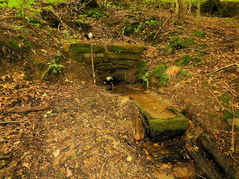 Růžičkova studánka (14016) - červenec 2021