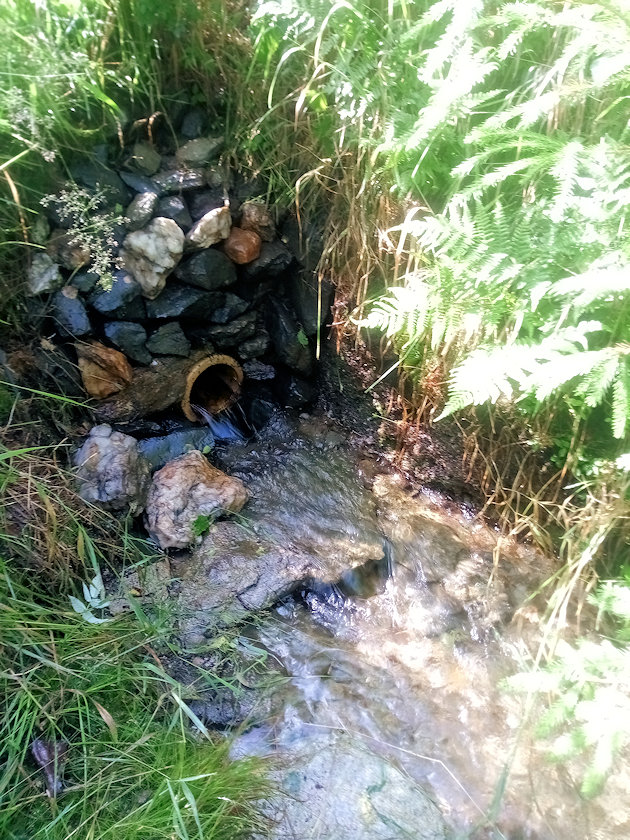 Srnčí studánka (14046) - červenec 2021