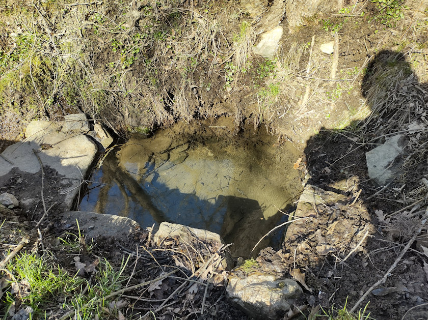 studánka Na Úlehlích (14050) - březen 2022