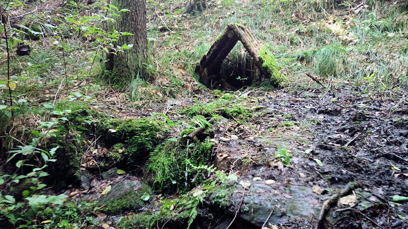 studánka Pořešinec - Výhony (14051) - srpen 2021