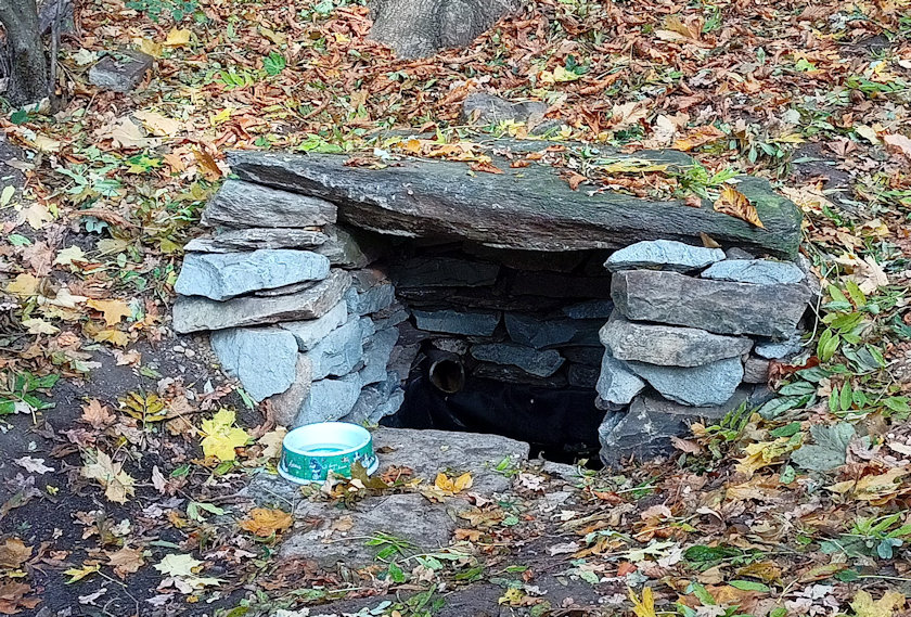 studánka Doubravská hora (14074) - říjen 2021
