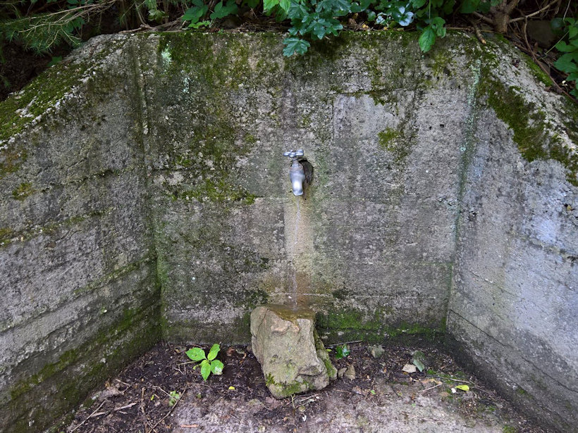 studánka Za Díly (14091) - červenec 2021