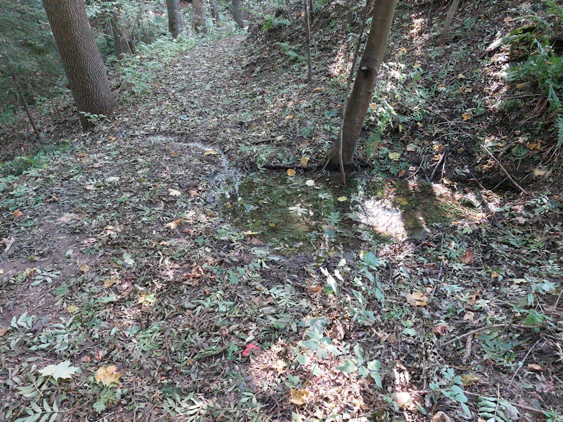 studánka Pod Crhovem (14109) - září 2021