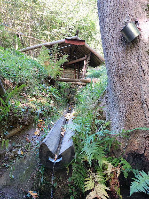 studánka U Tanku (14116) - říjen 2021