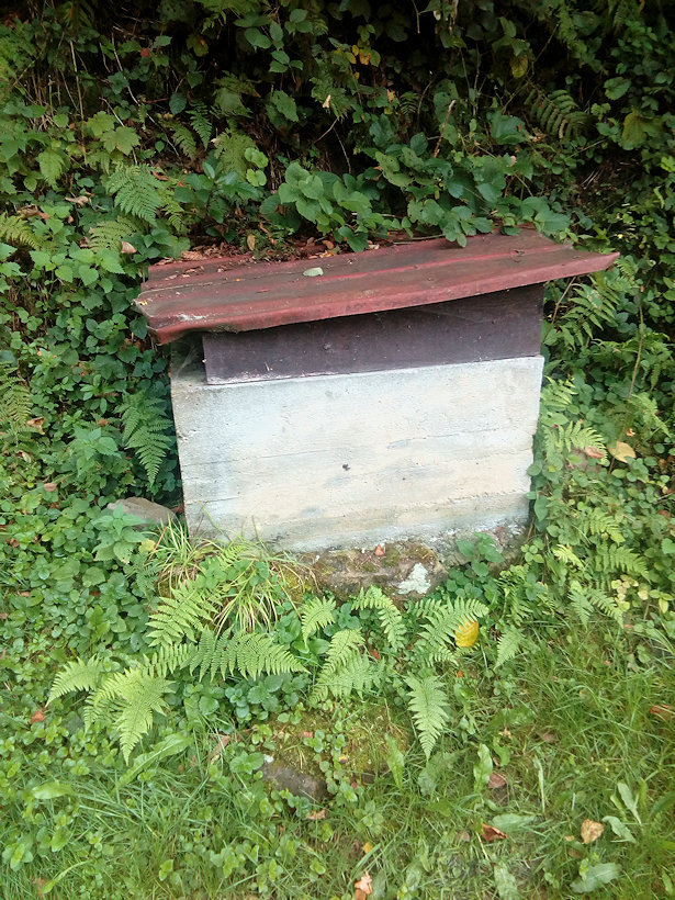 studánka U liščí stezky (14125) - září 2021
