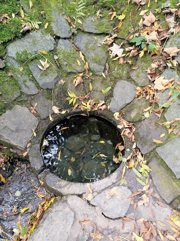 studánka Kouzelná Viktorka (14131) - říjen 2021