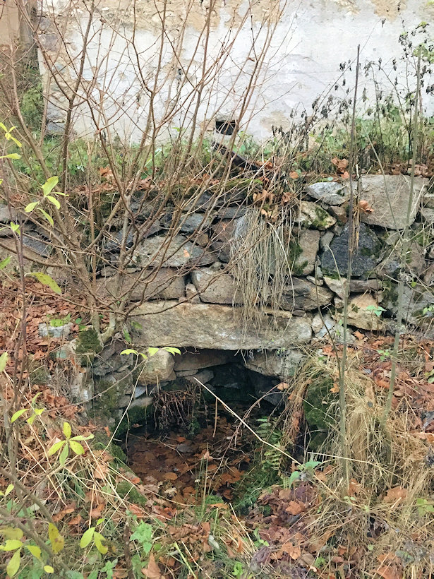 studánka U Šáchů (14162) - listopad 2021
