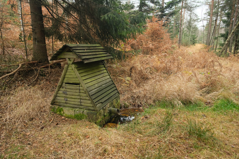 studánka Pod Sokolí věží (14166) - listopad 2021
