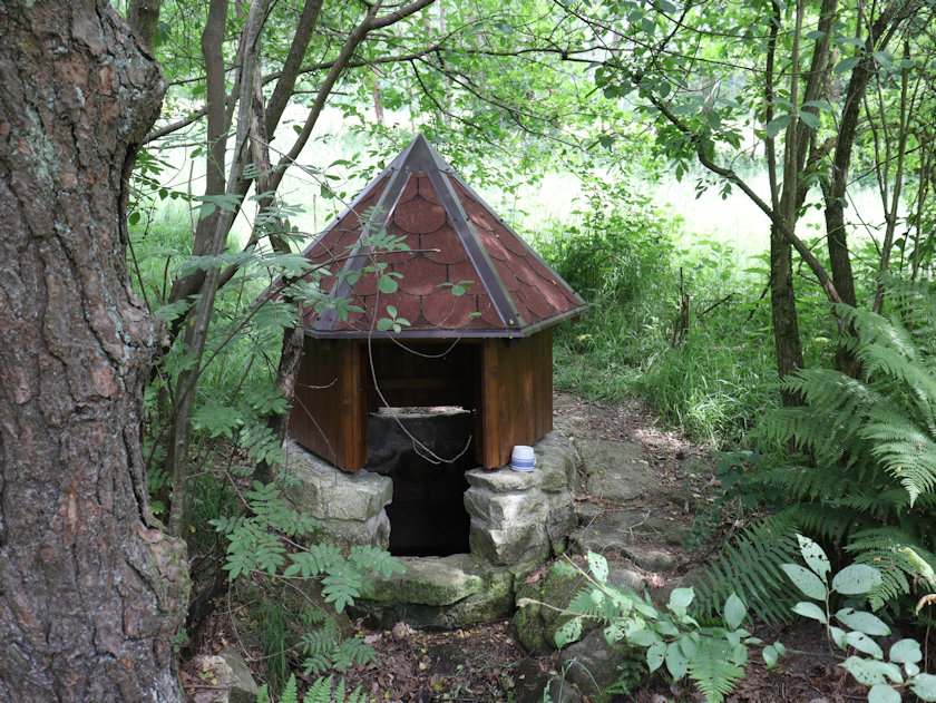 studánka U Sedelského rybníka (14167) - červen 2021