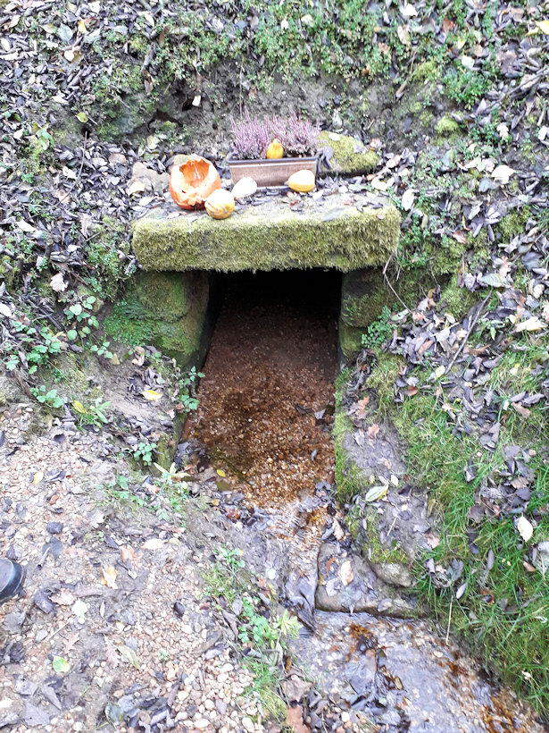 studánka Ve Veseckém Plakánku (14170) - listopad 2021