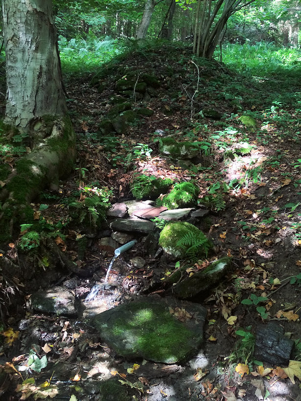 studánka V Nové Branné (14184) - září 2021