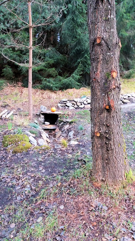 studánka Dračí pramen (14188) - listopad 2017