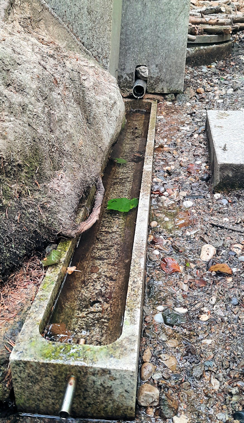studánka Smíření (14192) - červenec 2022