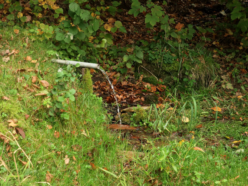 studánka bez jména (14201) - září 2021