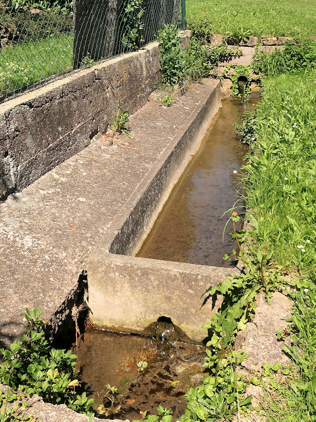 studánka bez jména (14209) - červenec 2021