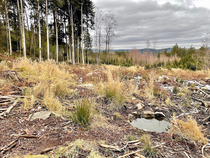 studánka U Altánu (14230) - únor 2022
