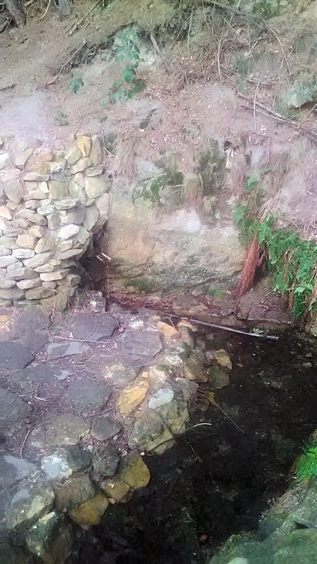 studánka Za Krupou (14241) - únor 2022