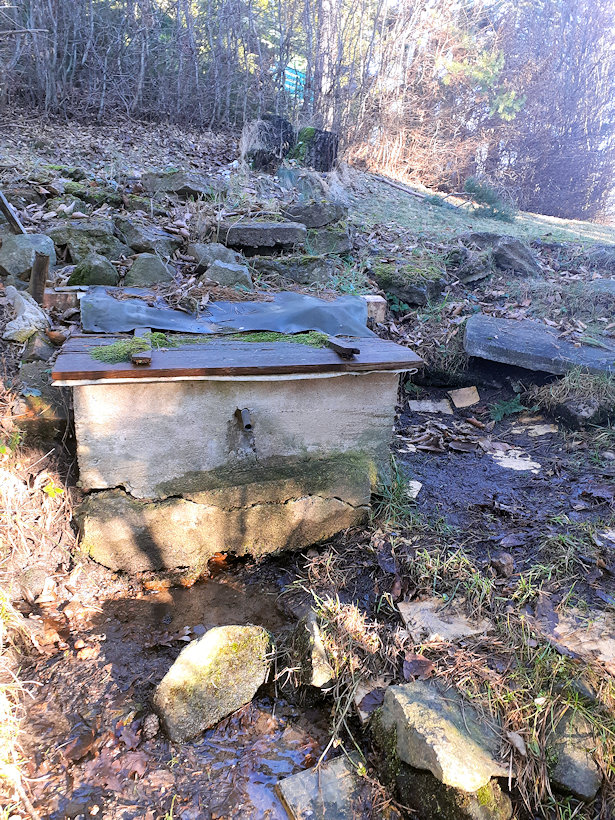 studánka Mlýnská (14243) - únor 2022
