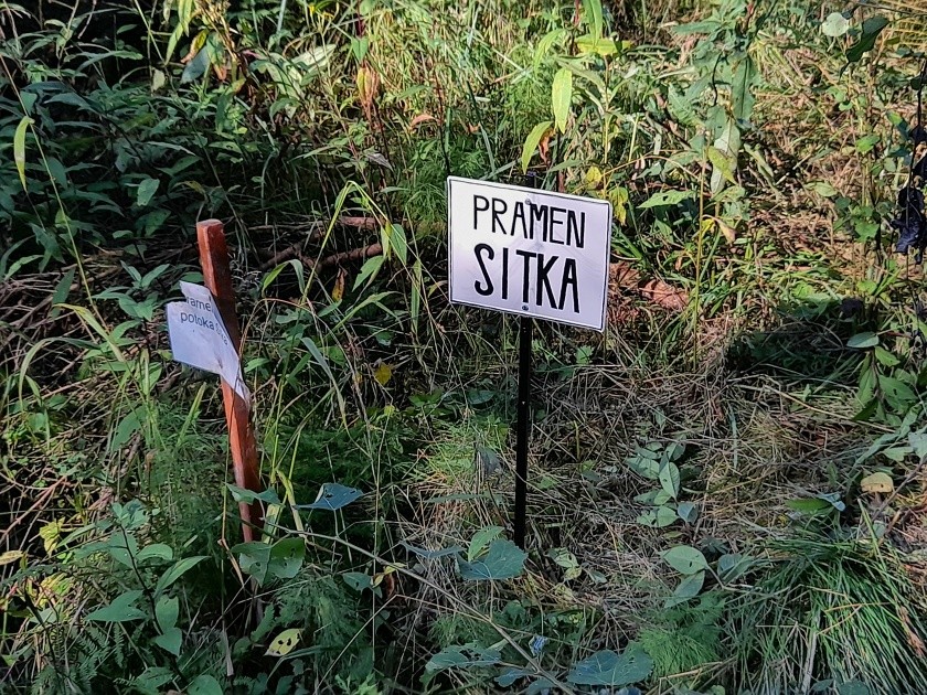 pramen Sitka (14277) - srpen 2023